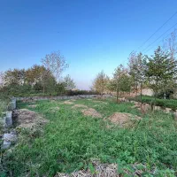 فروش ۳۰۰ متر زمین مسکونی در پیربازار