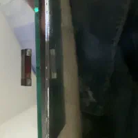 فیوز رادیو سلنا سالم