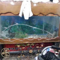 میز طرح دار اهنی