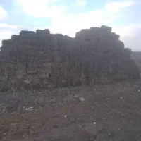 پرس،سویا پر علف مخصوص دامداری