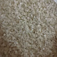 خرده برنج درشت کامفیروزی