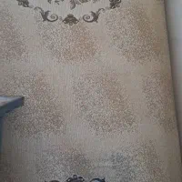 پشتی