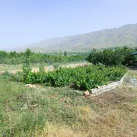 فروش باغ در فریدونشهر|فروش زمین و ملک کلنگی|فریدونشهر, |دیوار