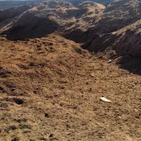 کود حیوانی|خدمات باغبانی و درختکاری|اصفهان, سرشبادران|دیوار