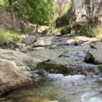 اجاره دهبالا طرزجان منشاد سانیج مهریز زارچ تفت