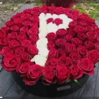 هدیه ولنتاین|گل مصنوعی|خرم‌آباد, |دیوار