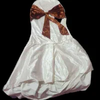 ۲۰ عدد روکش صندلی رستورانی