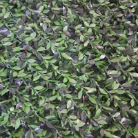 گل مصنوعی|گل مصنوعی|کرمانشاه, |دیوار