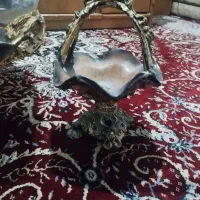 وسایل فروشی