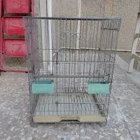 قفس پرنده