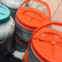 ماهی سوری هوور|ماهی|بندرلنگه, |دیوار