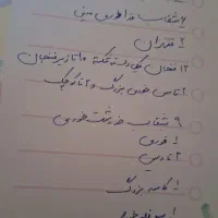 سرویس چینی 12 نفره مقصود