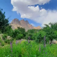 بلیط بازی چادرملو