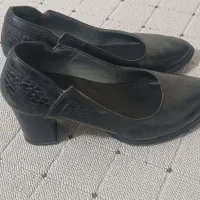 کفش|کیف، کفش، کمربند|ایلام, |دیوار