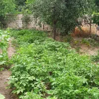 زمین مسکونی ۳۴۰مترروستای احمدآباد|فروش زمین و ملک کلنگی|مشگین شهر, |دیوار