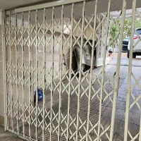 حفاظ اکاردونی  ۳گل