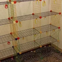 قفسه اهنی|کتابخانه، شلف، قفسه‌های دیواری|قم, انسجام|دیوار