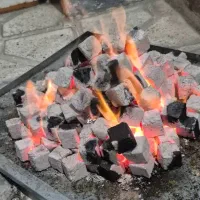 فروش عمده ذغال کبابی ممتاز
