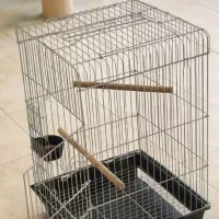 قفس کاسگو و معمولی