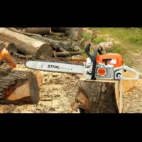 هرس کاری درخت|خدمات باغبانی و درختکاری|شادگان, |دیوار