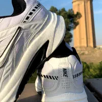 نایک intitor|کیف، کفش، کمربند|گنبد کاووس, |دیوار