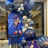 تم سونیک|اسباب‌‌بازی|تهران, خواجه نظام الملک|دیوار