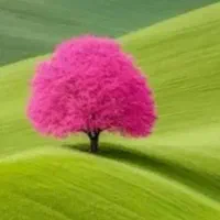 یونجه درجه ۱ موجود است