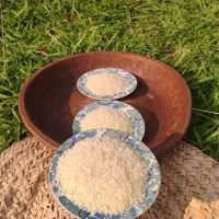 برنج درشت،سرلاشه و نیم دانه هاشمی مستقیم از کشاورز|خوردنی و آشامیدنی|رشت, آزادگان|دیوار