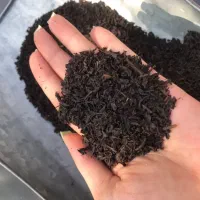 چای سیاه ممتاز