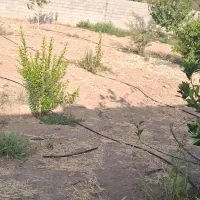 باغچه|فروش زمین و ملک کلنگی|شیراز, بازار|دیوار