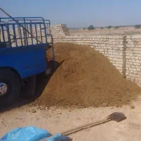 کود حیوانی گوسفند