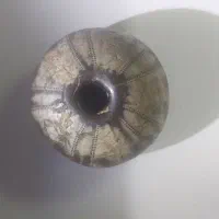 مهره موزه ای