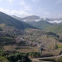کارگر دامداری