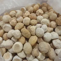 کشک خشگ گوسفندی