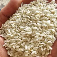 برنج عنبربو شوشتر|خوردنی و آشامیدنی|تهران, مولوی|دیوار