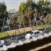 شاخک دور کننده کبوتر و پرندگان پرنده پران
