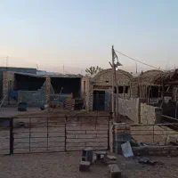 فروش دامداری