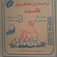 تخم مرغ یاقوت