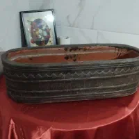 گلدان|گل و گیاه طبیعی|دامغان, |دیوار