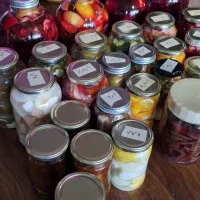 پروبیوتیک کیمچی ساورکرات و کواس|خوردنی و آشامیدنی|تهران, ایرانشهر|دیوار