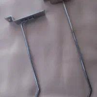 تیغه وشاخک رگال