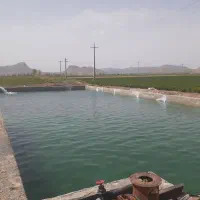 استخر کشاورزی برای پرورش ماهی|اجارهٔ دفتر صنعتی، کشاورزی، تجاری|شراء, |دیوار