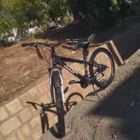 دوچرخه ویوا|دوچرخه، اسکیت، اسکوتر|سرپل ذهاب, |دیوار