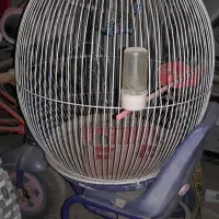 قفس گرد بزرگ