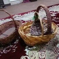 سبد