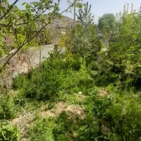 زمین ملکی ۴هکتار