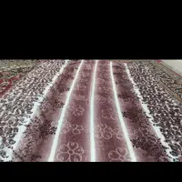 پتو خانگی و مسافرتی|رختخواب، بالش، پتو|شیروان (خراسان), |دیوار