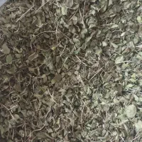 آویشن کوهی