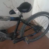 سالم ومدل ویوا