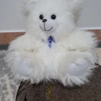 خرس پشمالو سفید نو